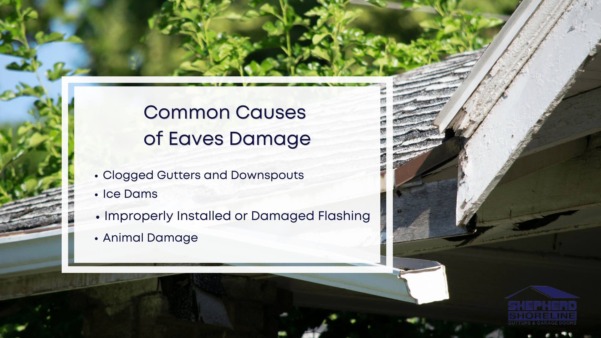Infographic image of common causes of eaves damage